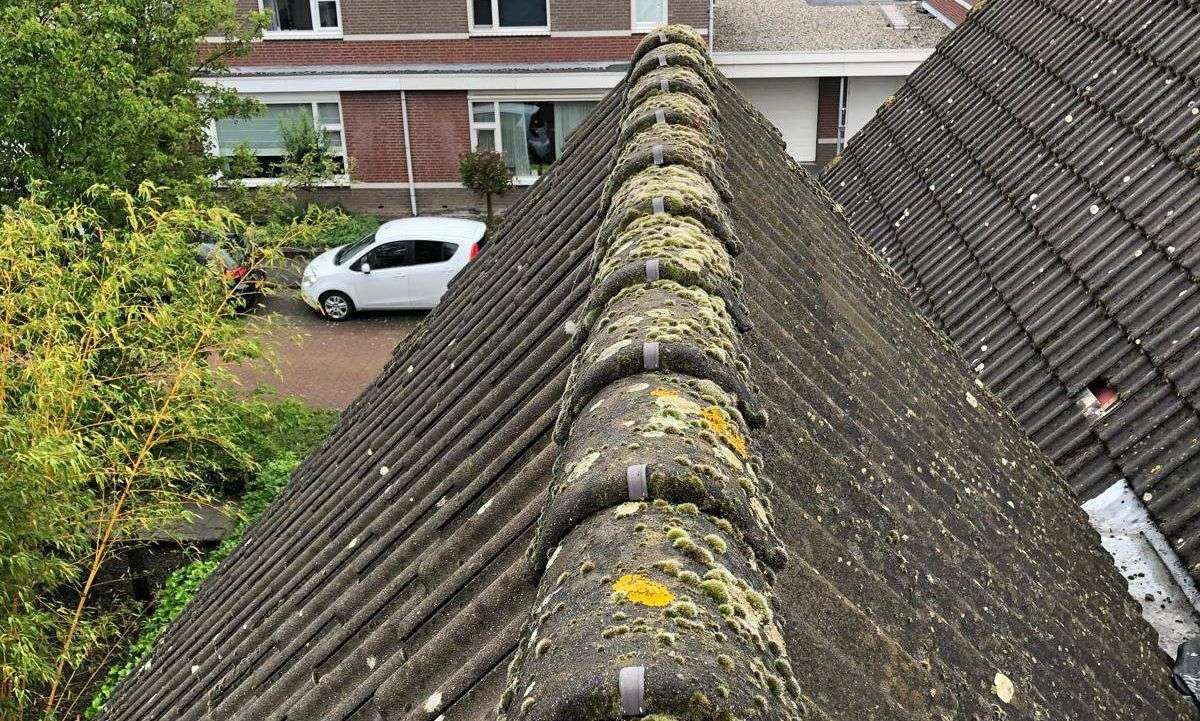 Renovatie van nokvorsten Eindhoven is nodig